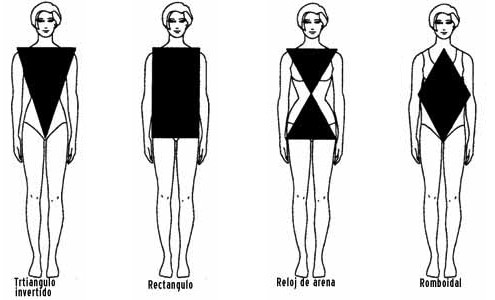 tipos-de-cuerpo